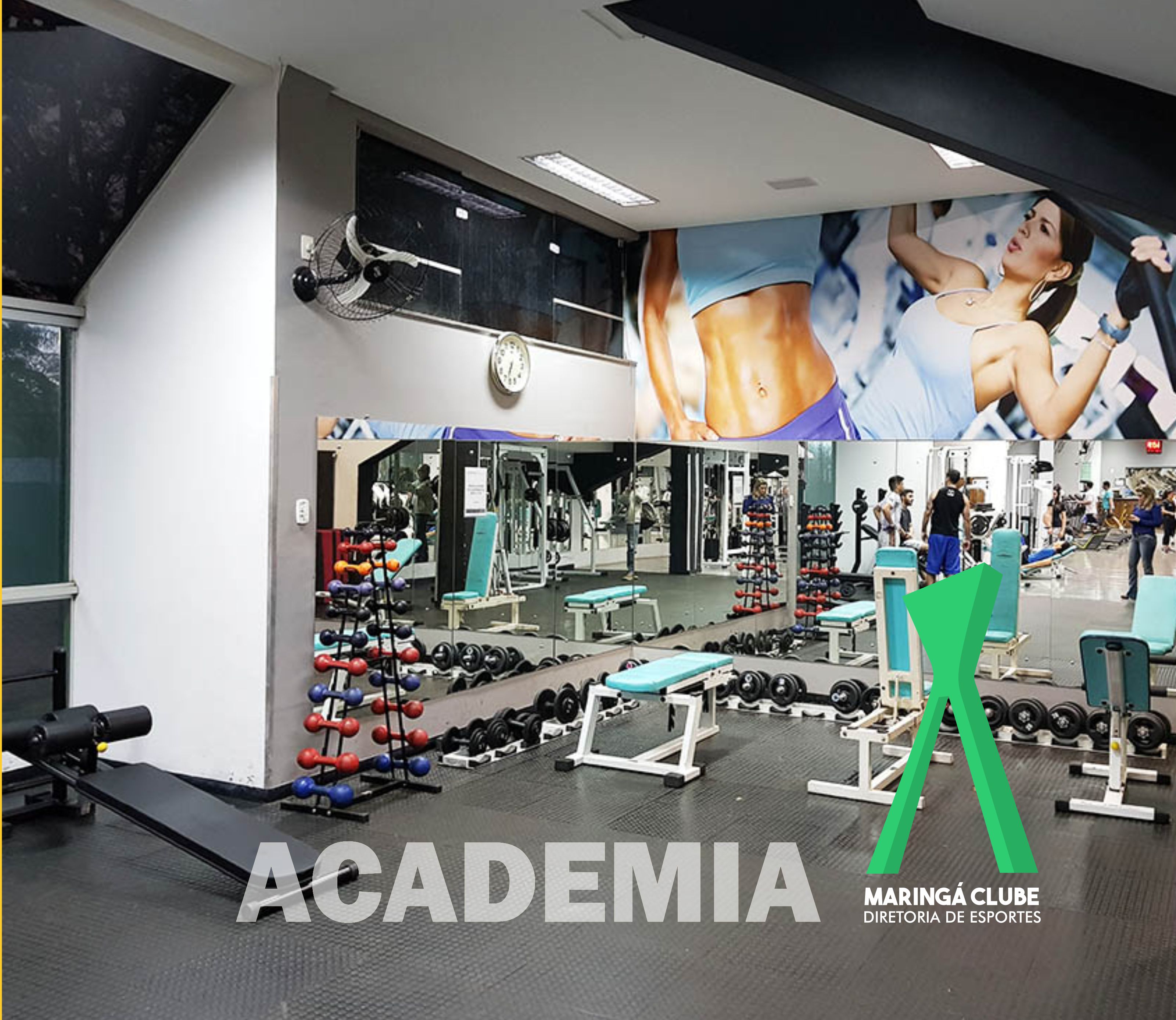 academia G